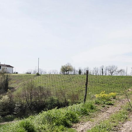 Agriturismo Cascina Cerola Villa Fubine Exteriör bild